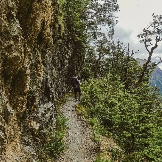 Routeburn Track, Fiordland Outdoors