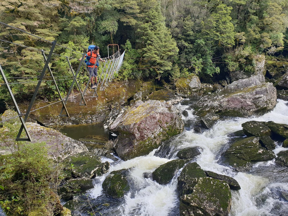 Hikers on swing bridge on George Sound Track, Fiordland Outdoors