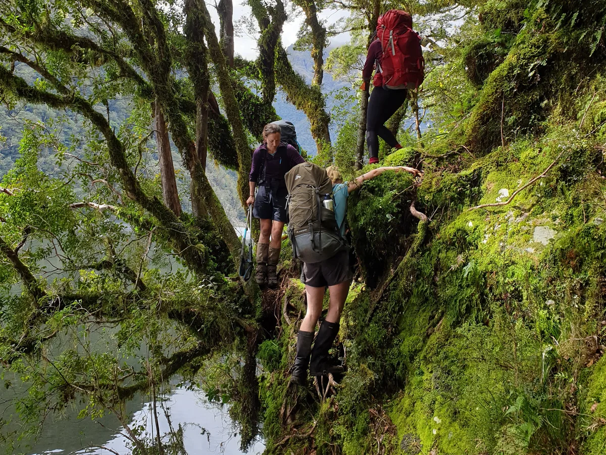 Hikers walking the remote section of George Sound Track, Fiordland Outdoors