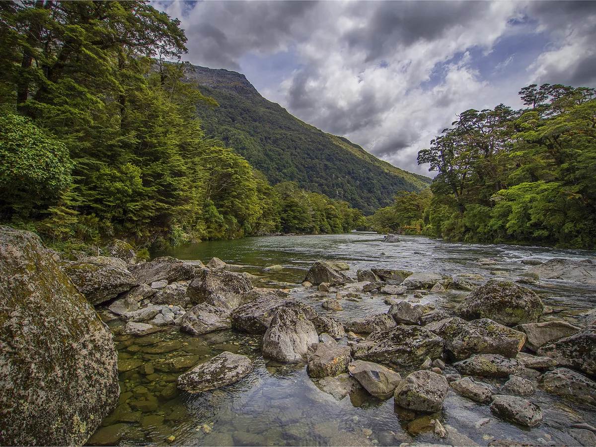 Clinton-River-Milford-Track-NZ0114-14x20.jpg