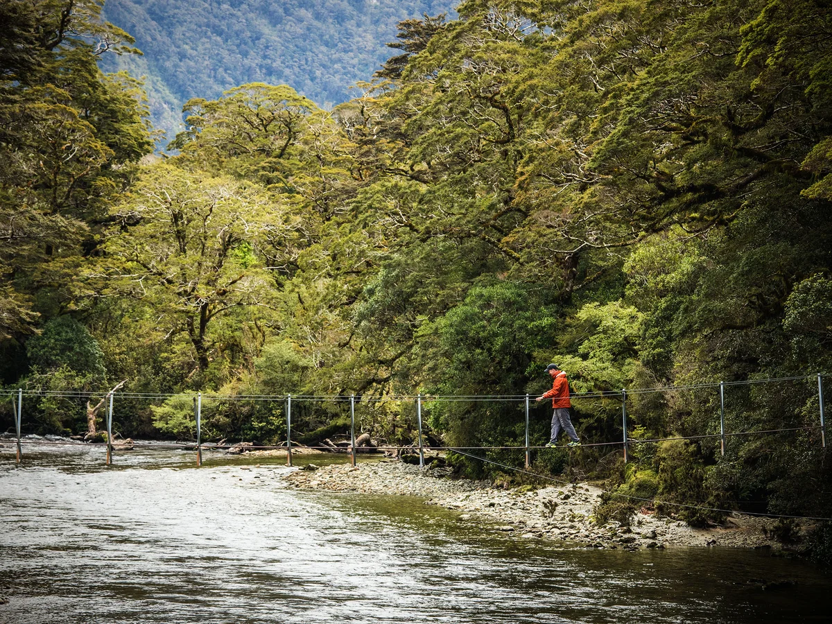 Man crossing swing bridge on George Sound Track, Fiordland National Park, New Zealand