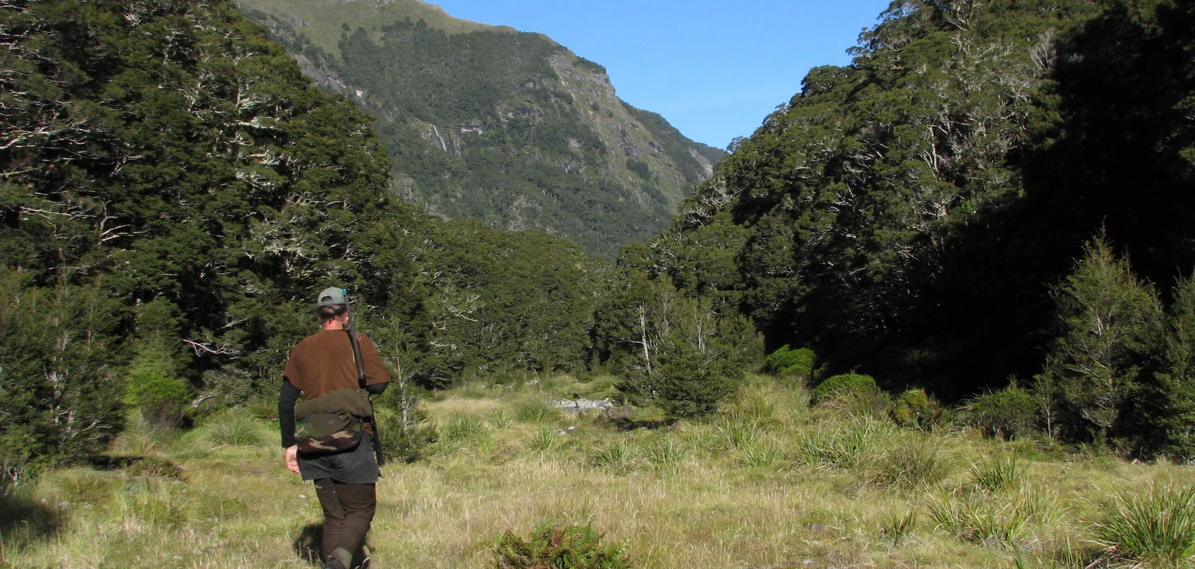 Man walking with Hunting gear deep into Fiordland National Park