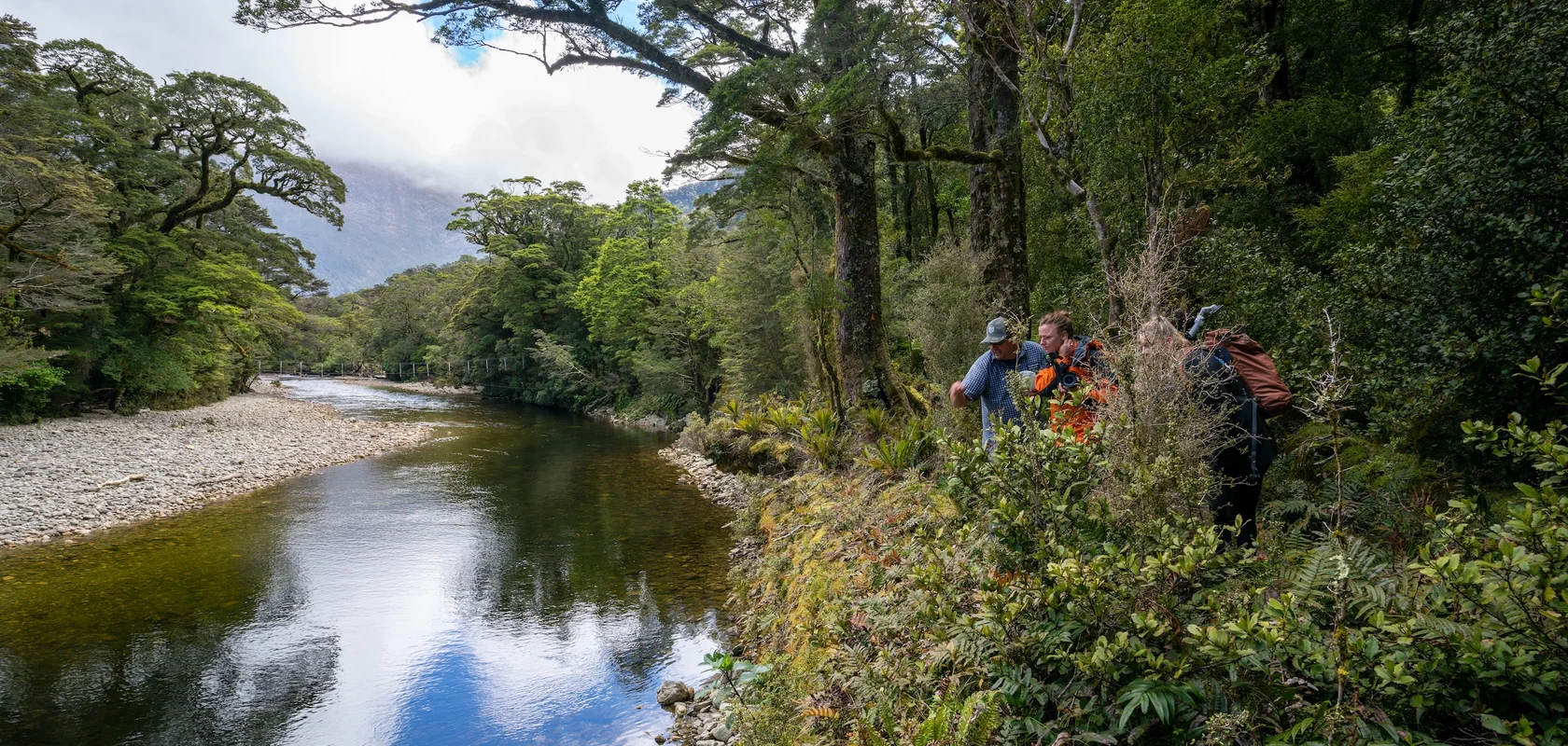 Looking over the Wapiti River Flats on Lake Hankinson Hike, Fiordland, South Island New Zealand.webp