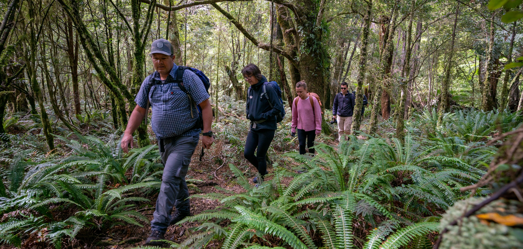 Walking through the Fiordland national park on our Lake Hankinson Hike, Fiordland, New Zealand