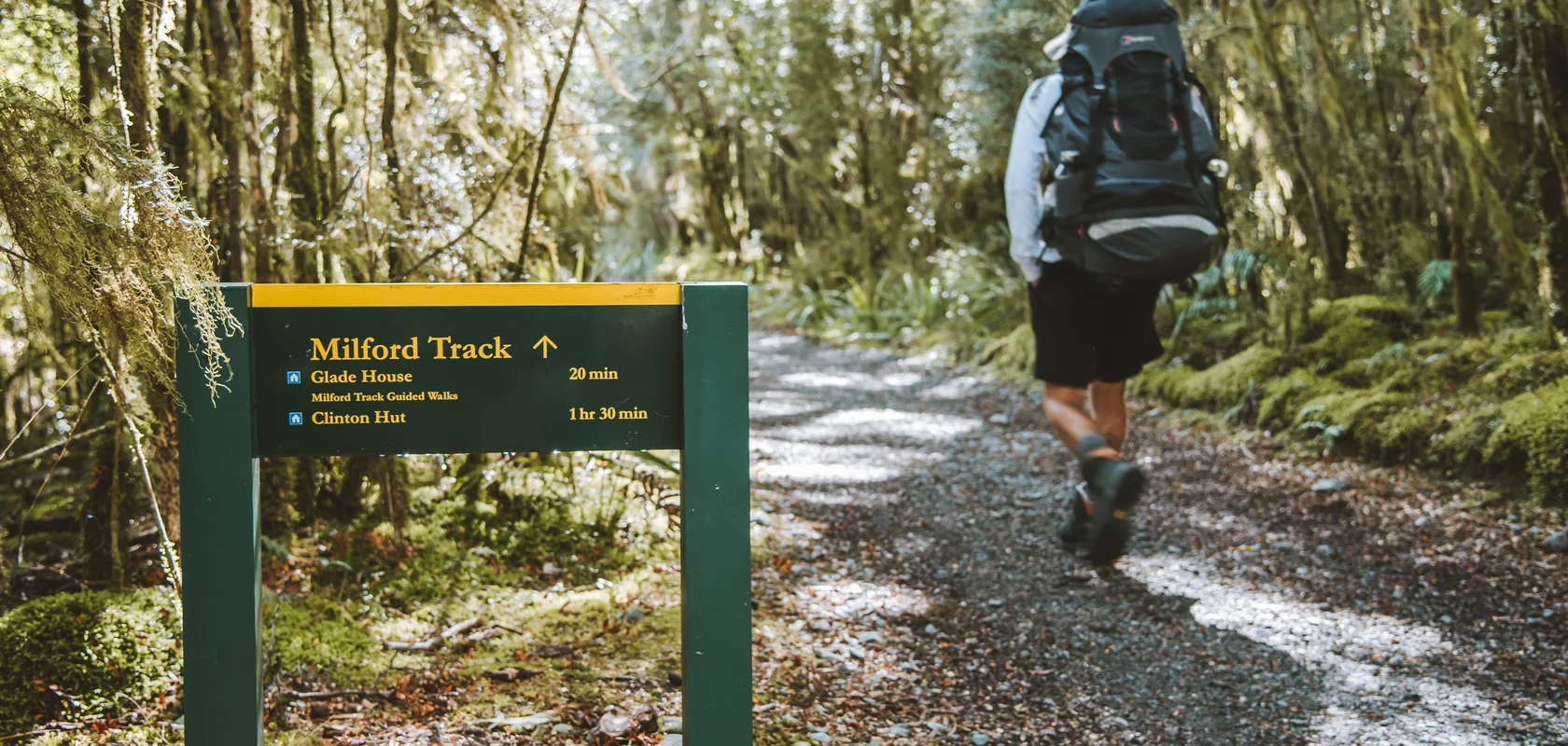 Milford Track Day Hike