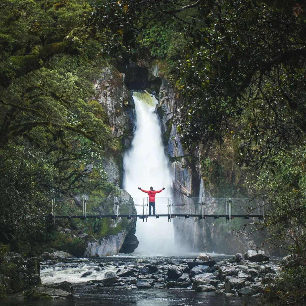 Milford Track Great Walk, Fiordland New Zealand.webp