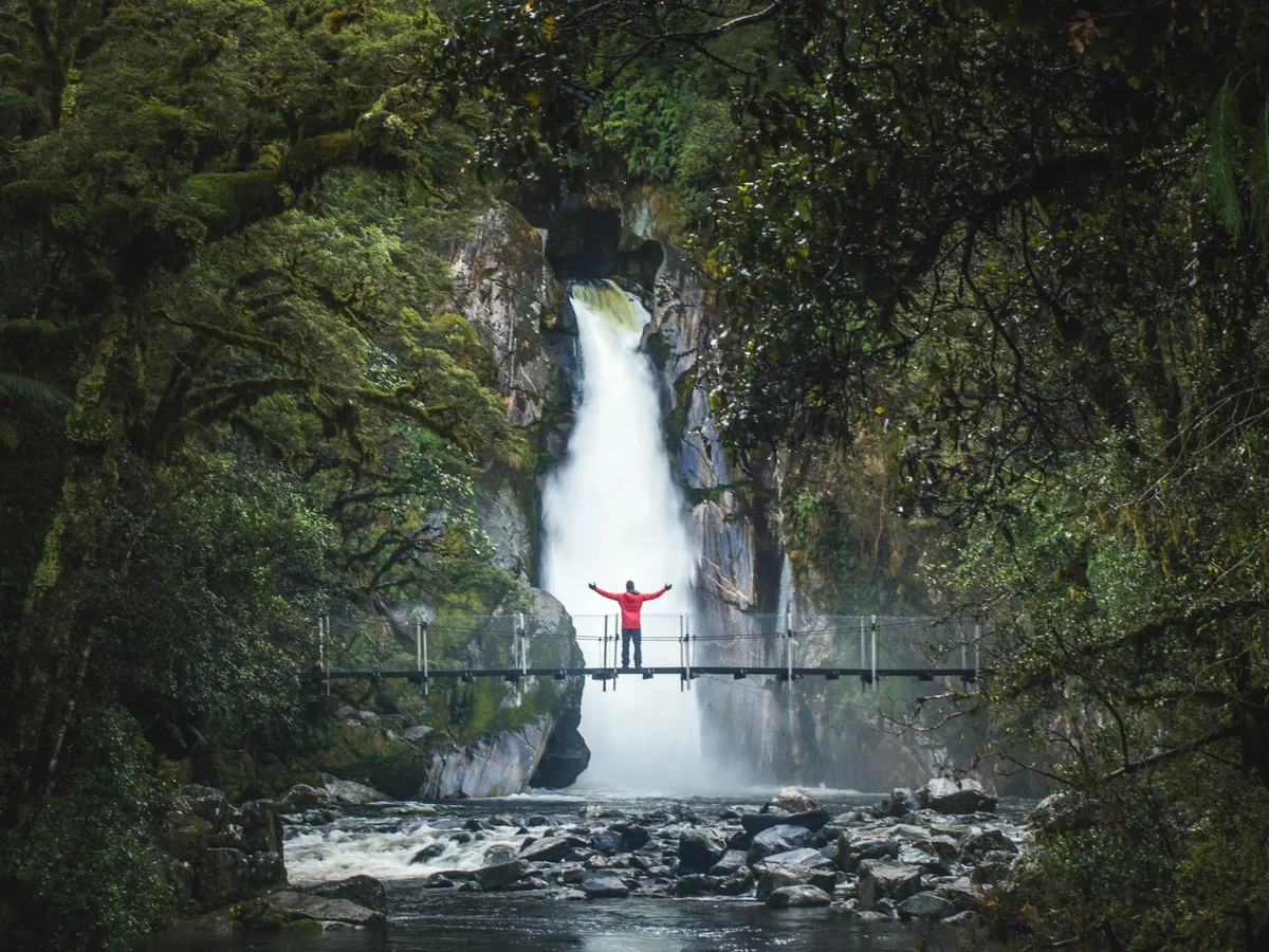 Milford Track Great Walk, Fiordland New Zealand.webp