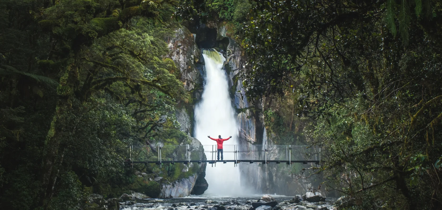 Milford Track Great Walk, Fiordland New Zealand.webp