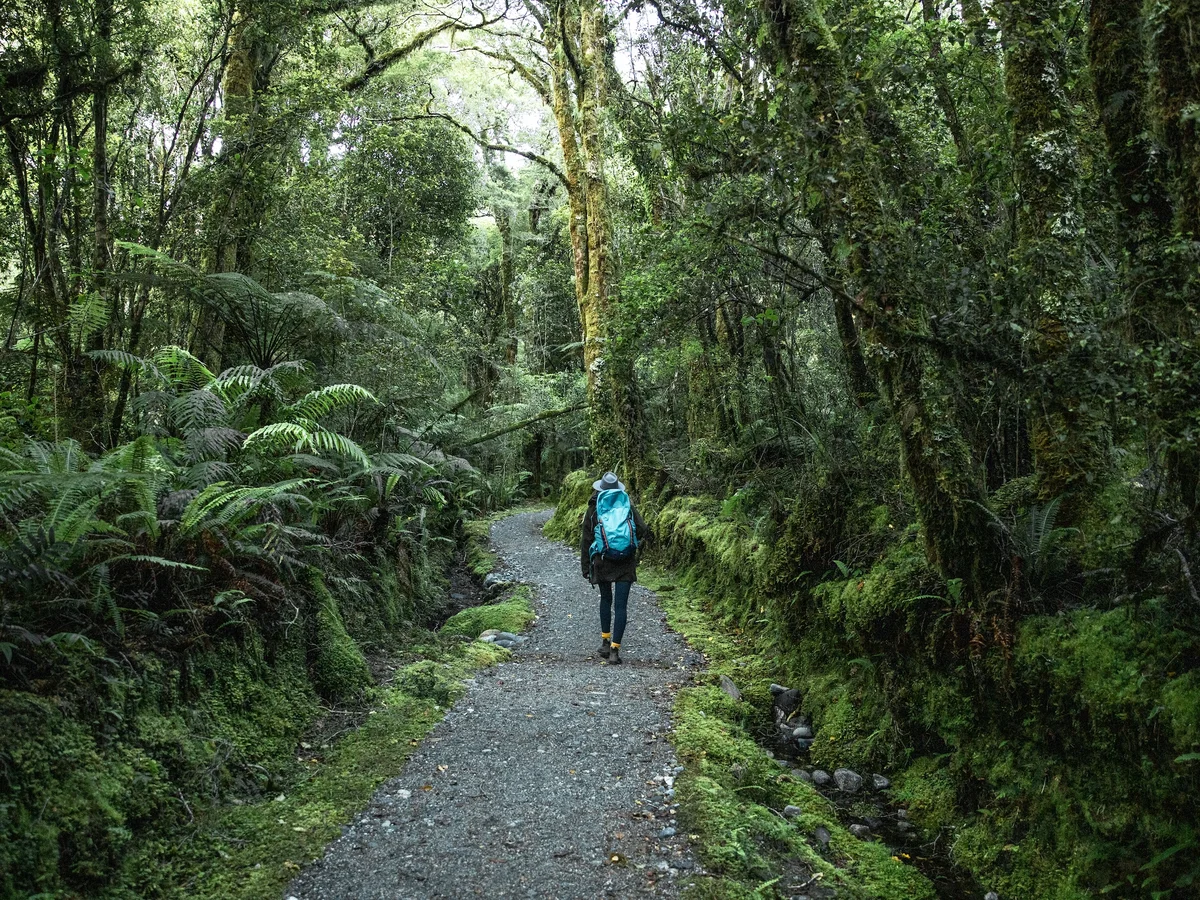 Women with blue backpack hiking the Milford Track Walk, Fiordland New Zealand.webp