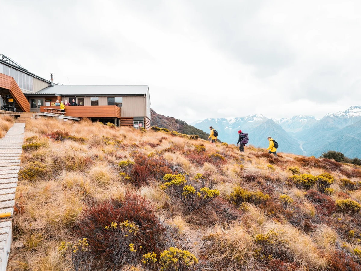 Mt Luxmore Day Walk. Fiordland Outdoors