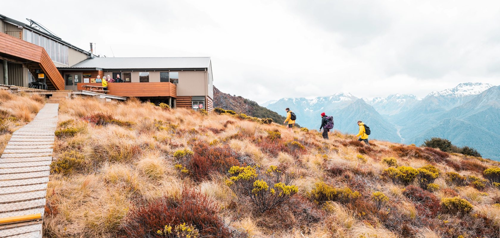 Mt Luxmore Day Walk. Fiordland Outdoors Co.webp