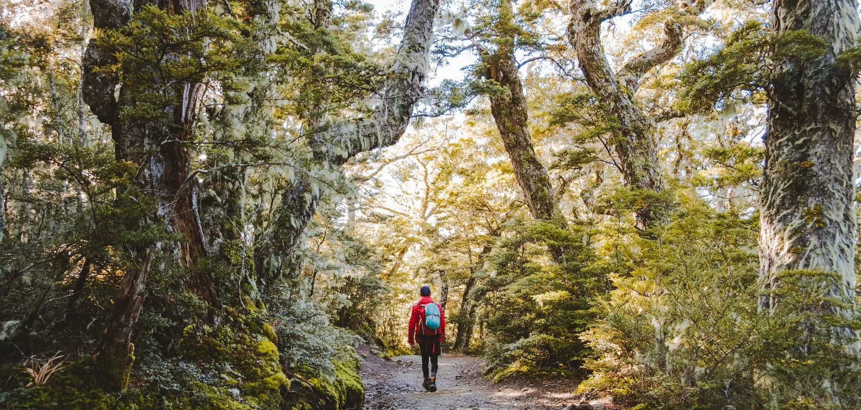 Mt Luxmore Day Walk, Fiordland New Zeland.webp