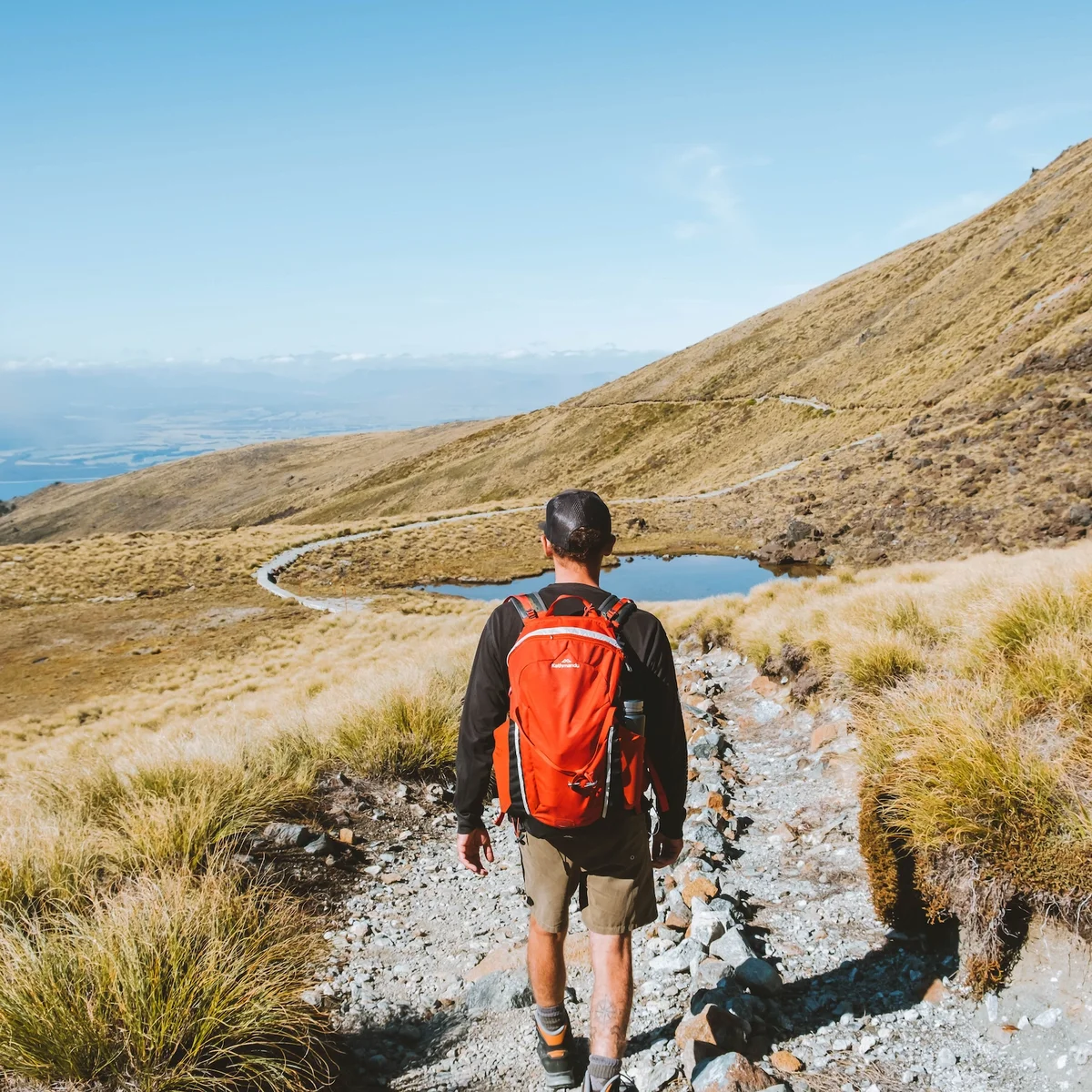 Mt Luxmore Day Hike, Fiordland New Zealand.webp