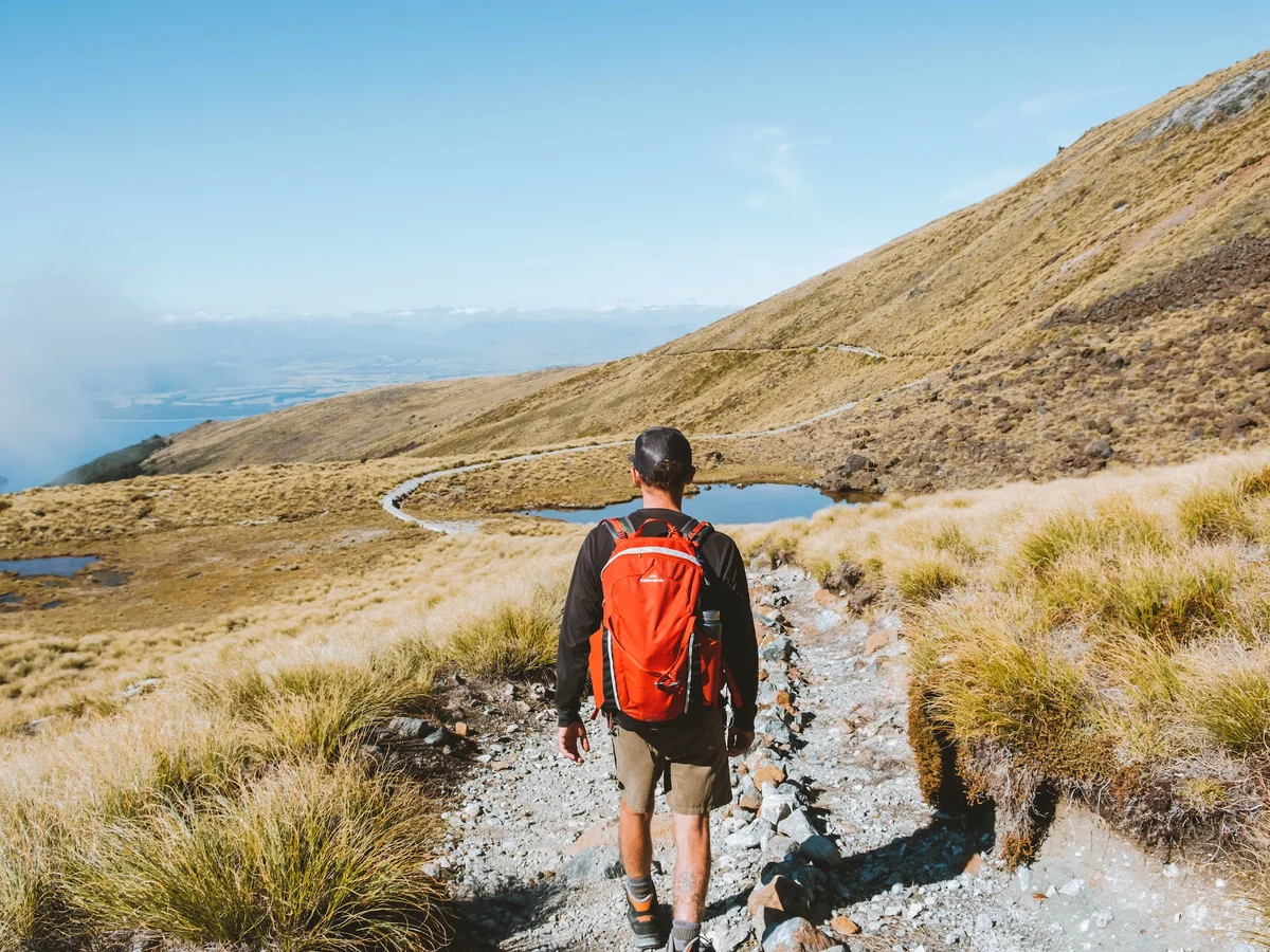 Mt Luxmore Day Hike, Fiordland New Zealand.webp