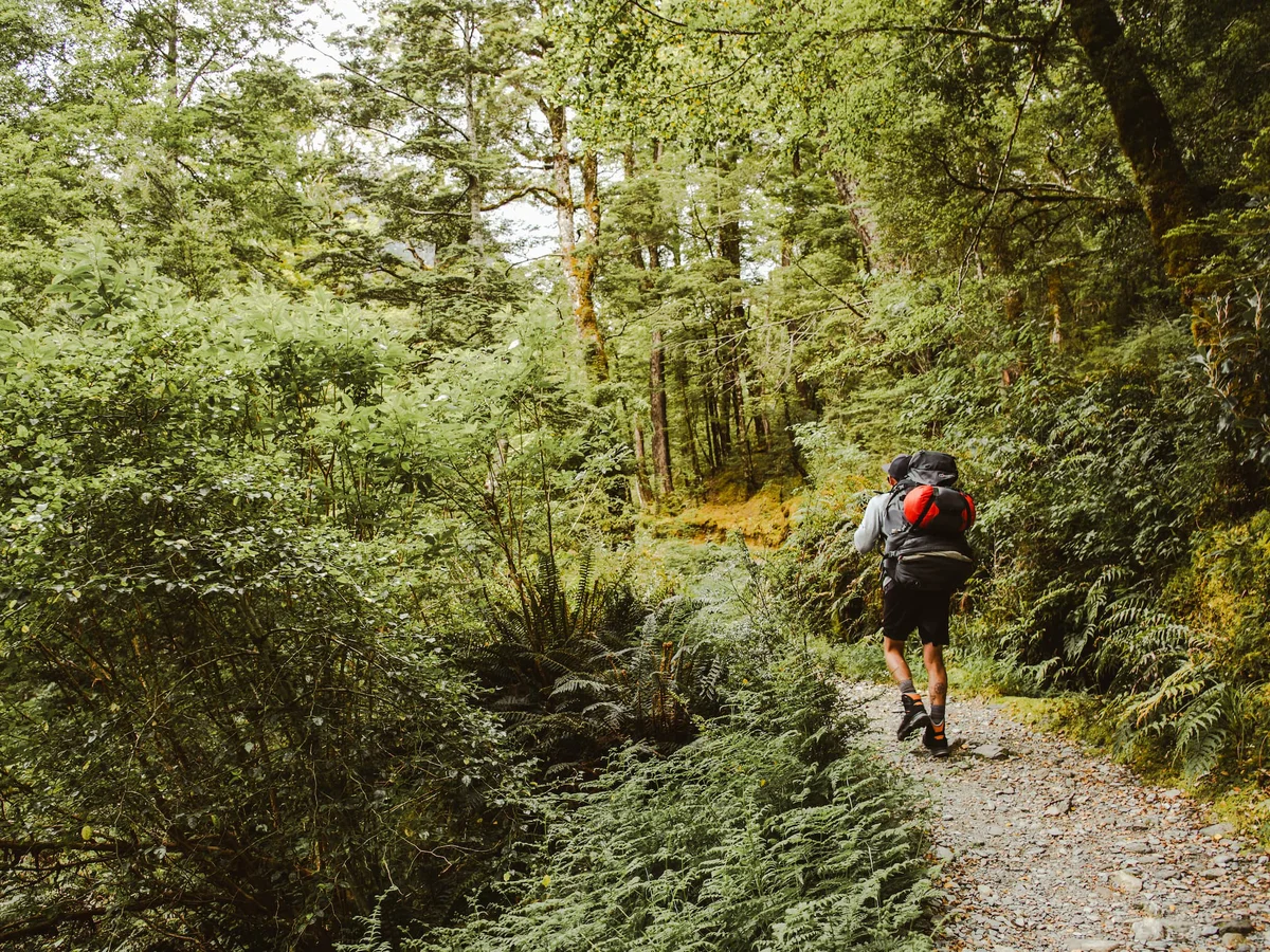 Man with red backpack walking the Routeburn Track, Fiordland OUtdoors