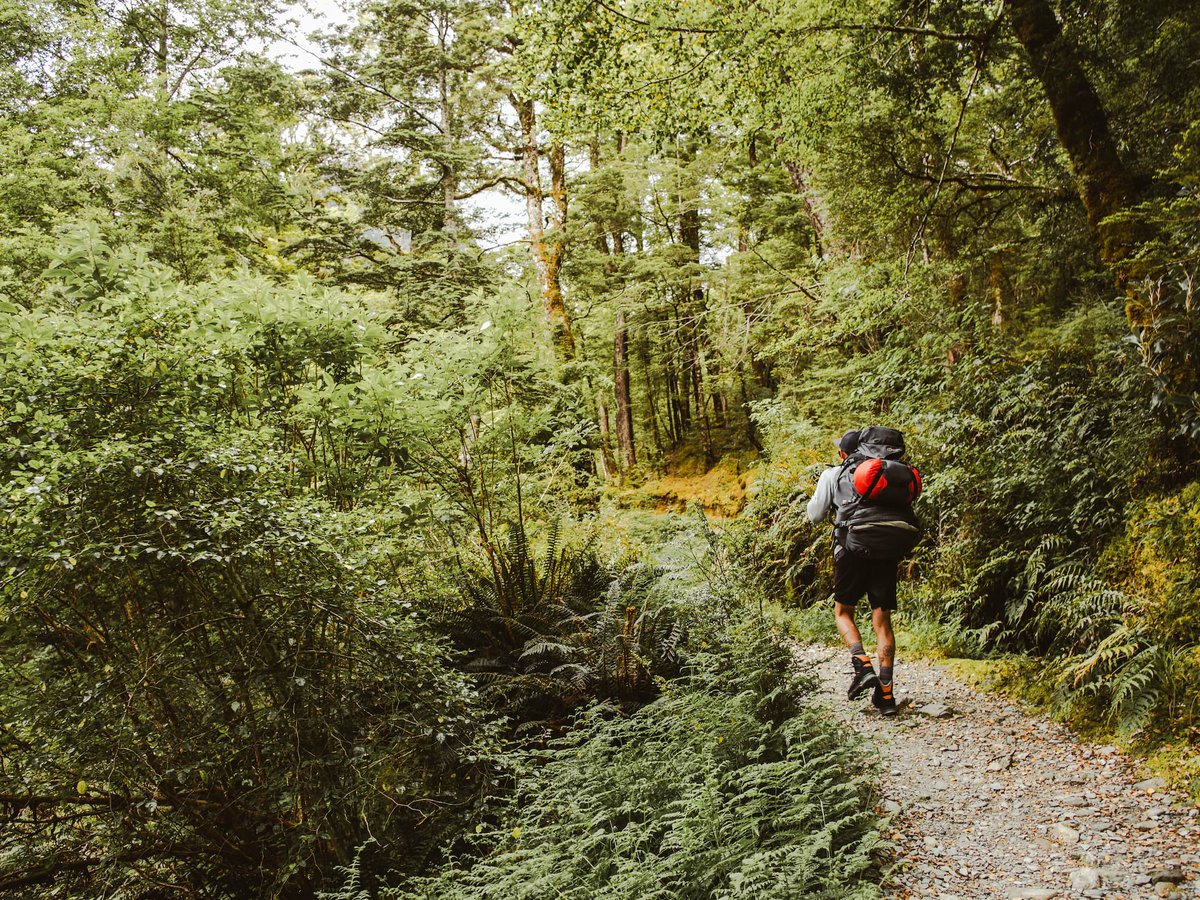 Man with red backpack walking the Routeburn Track, Fiordland OUtdoors Co