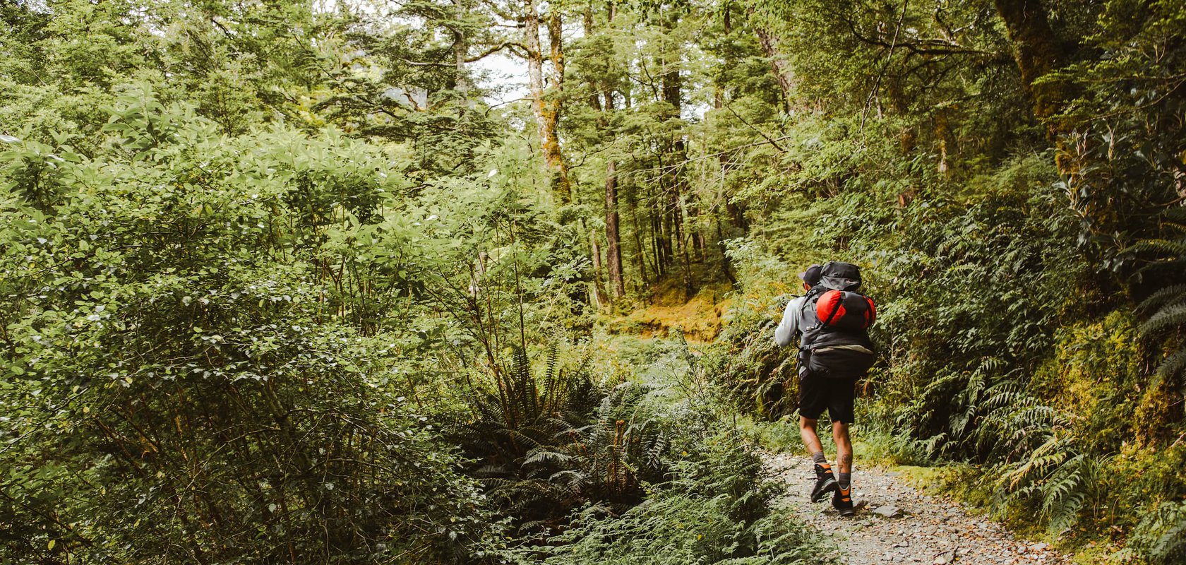 Man with red backpack walking the Routeburn Track, Fiordland OUtdoors Co