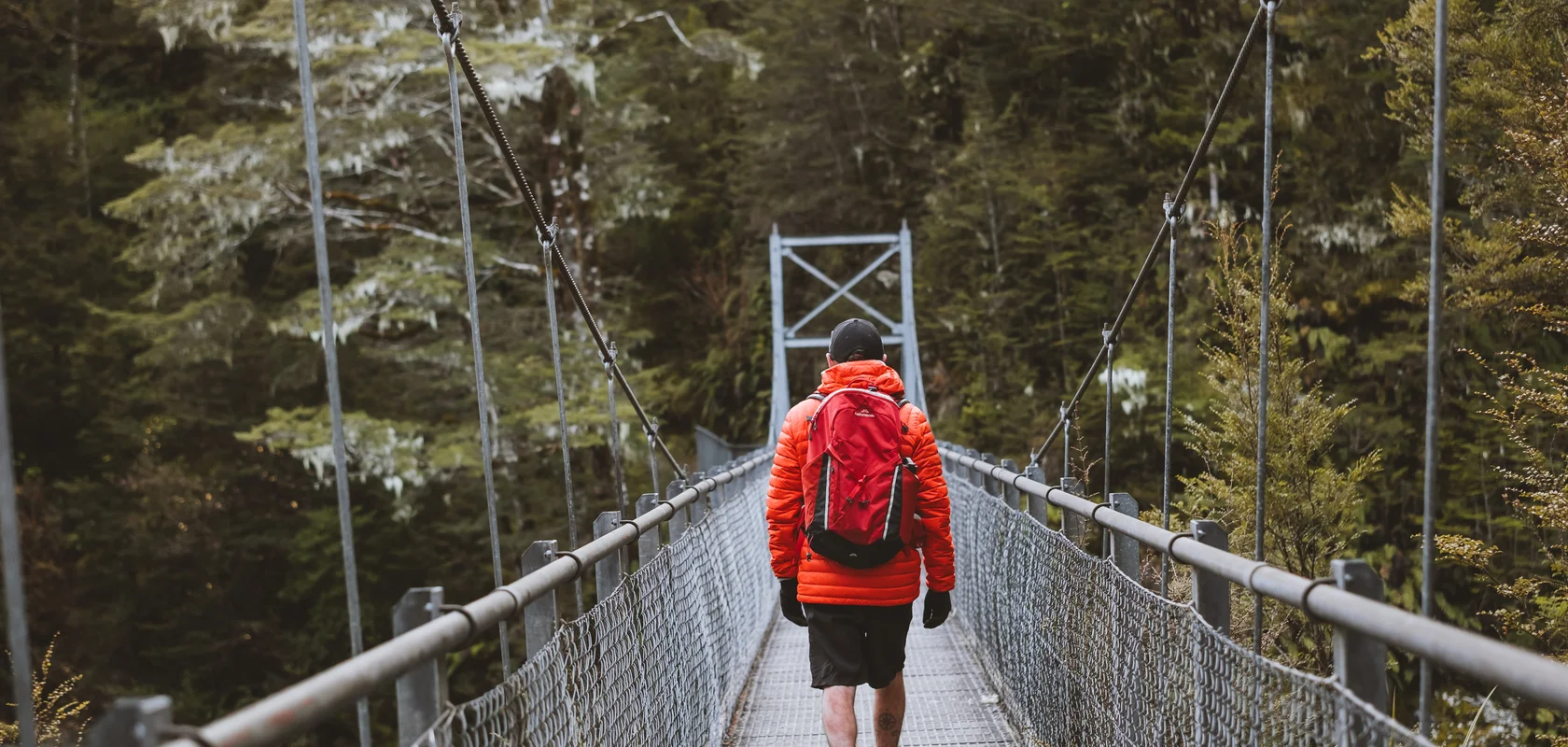 Routeburn Track Swing Bridge